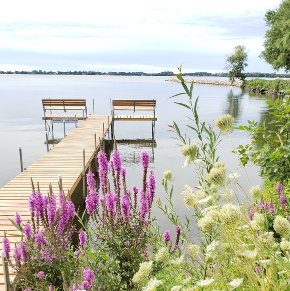 Meet your Posher, Doreen - Picture 1 of 1